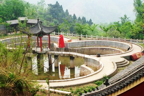 禅林寺放生池