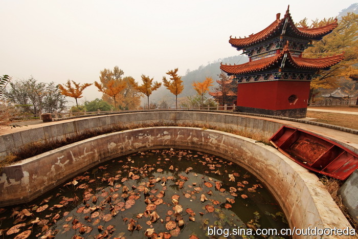 禅林寺放生池